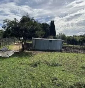 Foto annuncio 22