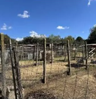 Foto annuncio 26