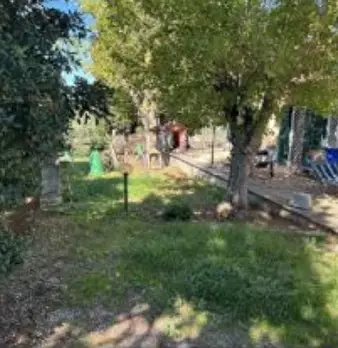 Foto annuncio 29