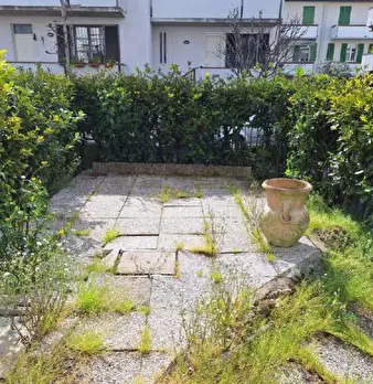 Foto annuncio 5