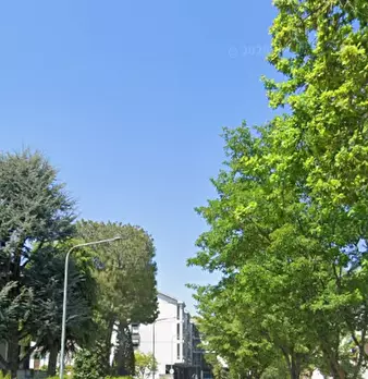 Foto annuncio 7