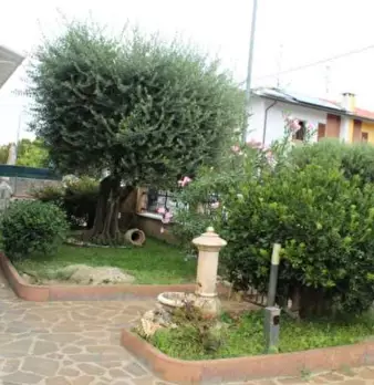 Foto annuncio 4