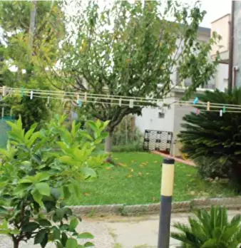 Foto annuncio 5