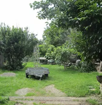 Foto annuncio 5
