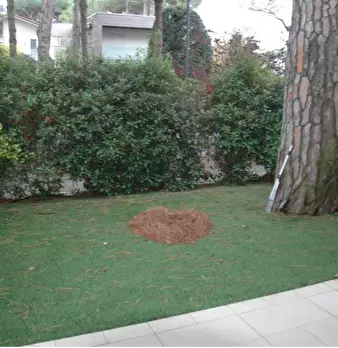 Foto annuncio 4