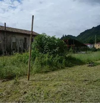 Foto annuncio 4