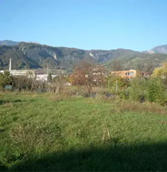 Foto annuncio 7