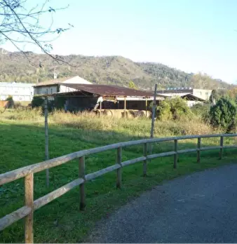 Foto annuncio 8