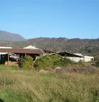 Foto annuncio 10