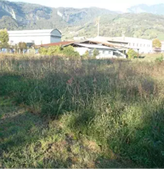 Foto annuncio 11