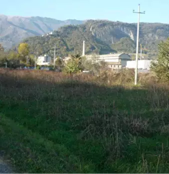 Foto annuncio 12
