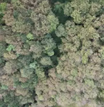 Foto annuncio 2