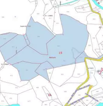Foto annuncio 9