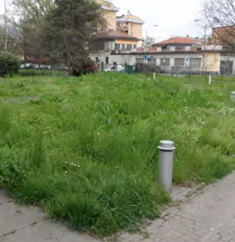 Foto annuncio 7
