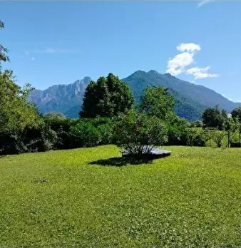 Foto annuncio 6