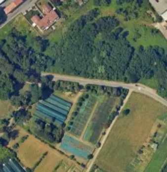 Foto annuncio 18