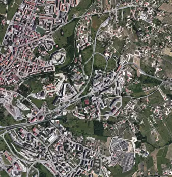 Foto annuncio 4