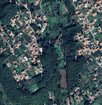 Foto annuncio 8