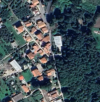 Foto annuncio 9