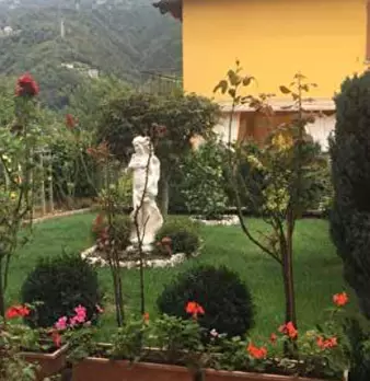 Foto annuncio 8