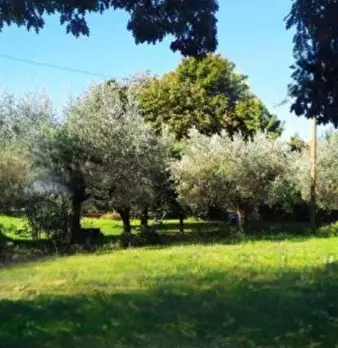 Foto annuncio 5