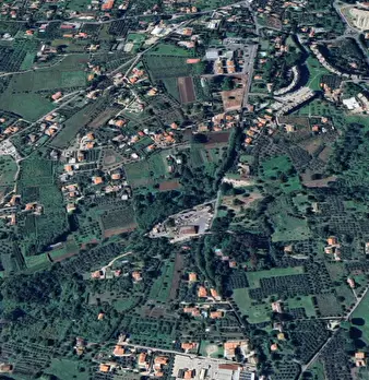 Foto annuncio 10