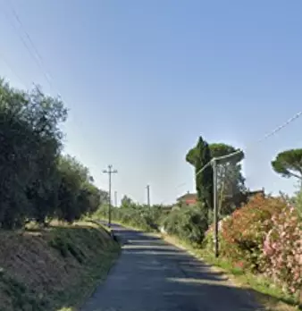 Foto annuncio 8