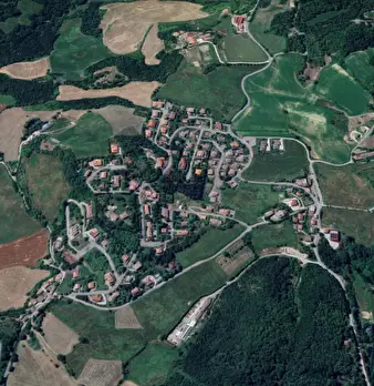 Foto annuncio 9