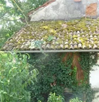 Foto annuncio 10