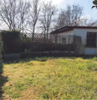 Foto annuncio 8