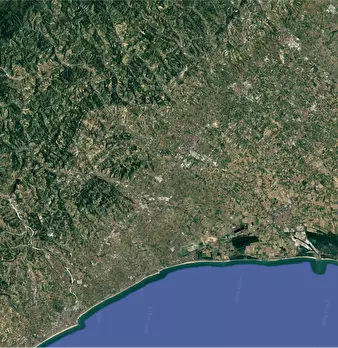 Foto annuncio 9