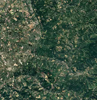 Foto annuncio 16