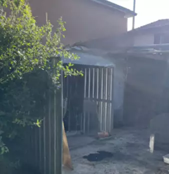 Foto annuncio 5