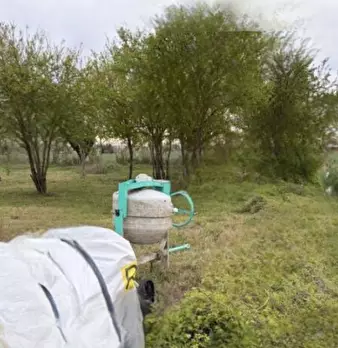 Foto annuncio 1