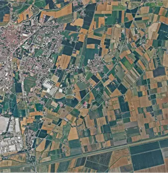 Foto annuncio 17