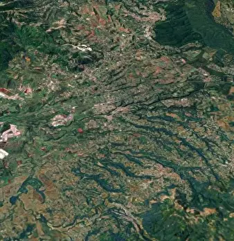 Foto annuncio 12