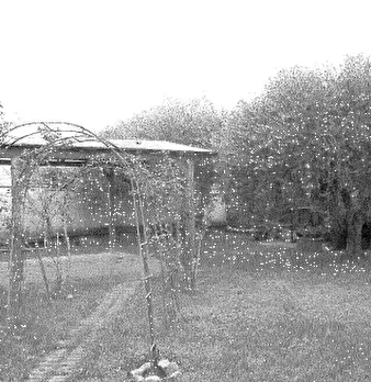Foto annuncio 4