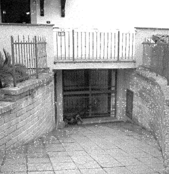 Foto annuncio 5