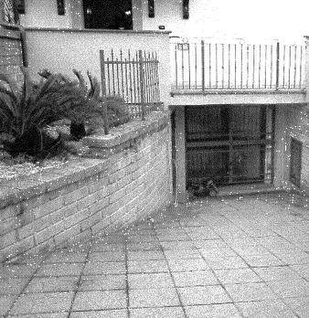 Foto annuncio 6