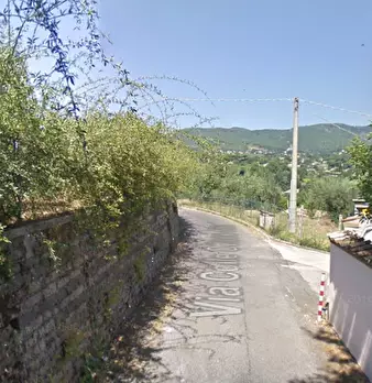 Foto annuncio 11