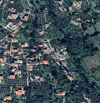 Foto annuncio 13