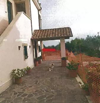 Foto annuncio 3