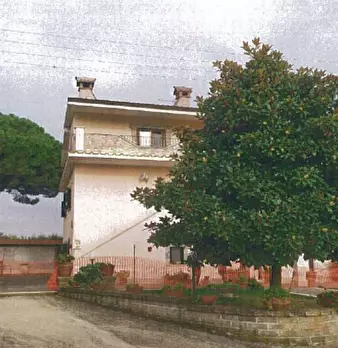 Foto annuncio 10