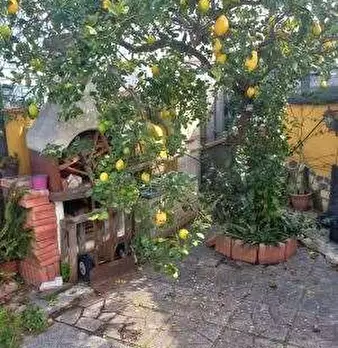 Foto annuncio 5