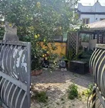 Foto annuncio 6