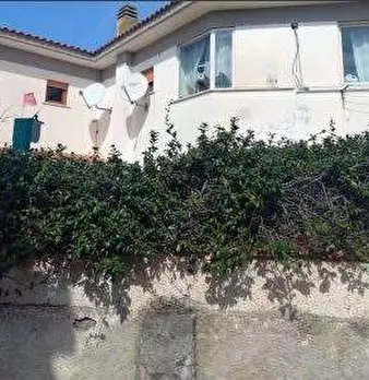 Foto annuncio 8