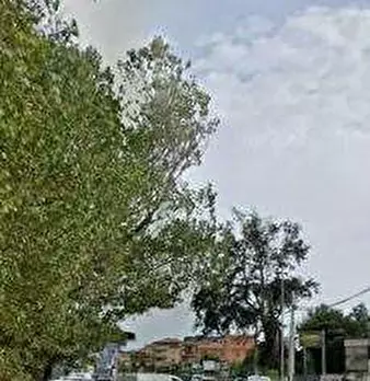 Foto annuncio 6