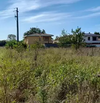 Foto annuncio 5
