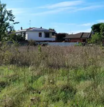 Foto annuncio 6