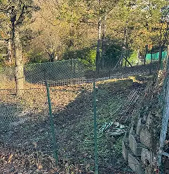 Foto annuncio 11